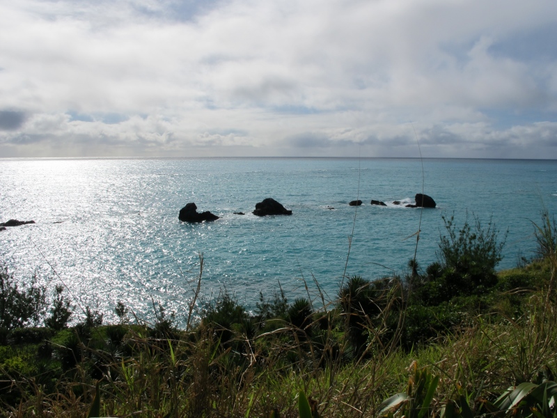 Day5 - 05 to the Gibbs Lighthouse 19-Jan-2010